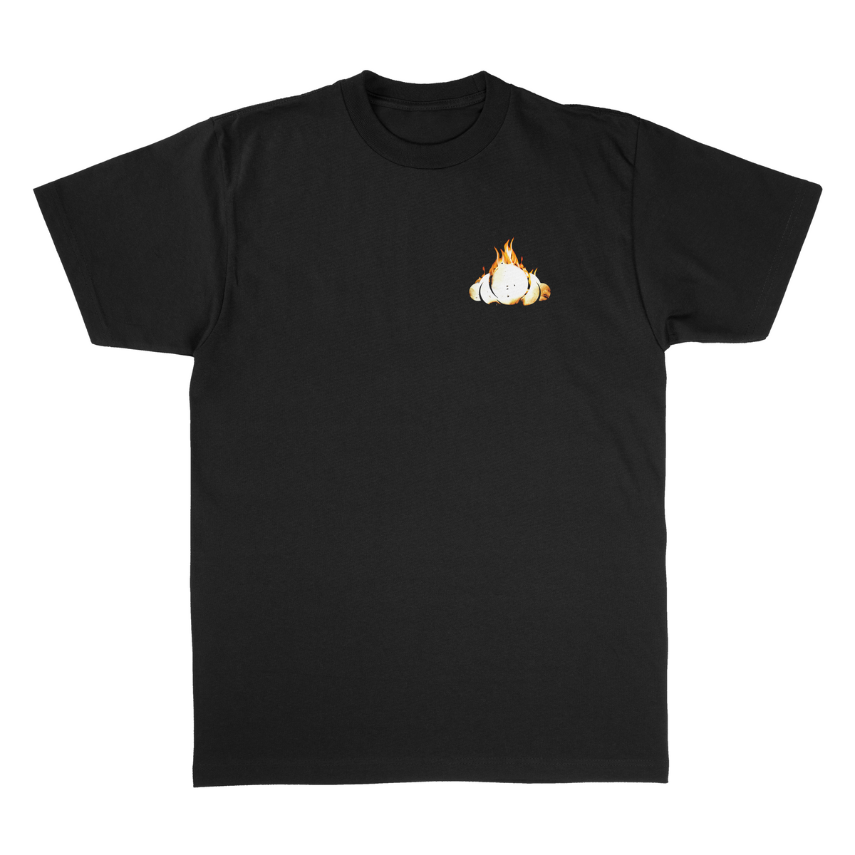 Fire Tee – Said the Sky | Official Merch Store