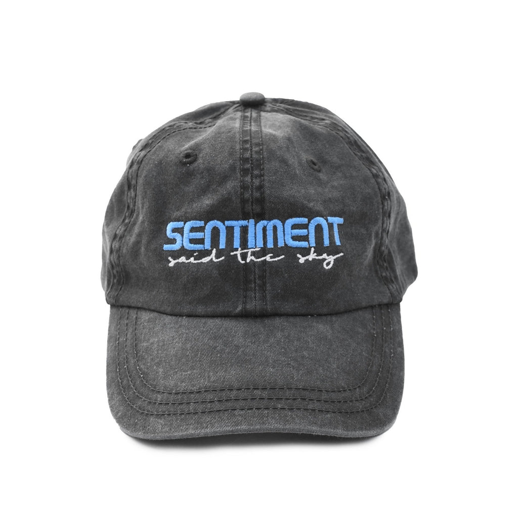 Sentiment Tour Dad Hat